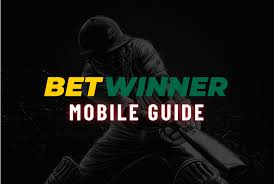 Todo lo que necesitas saber sobre Betwinner Sports Bet 12